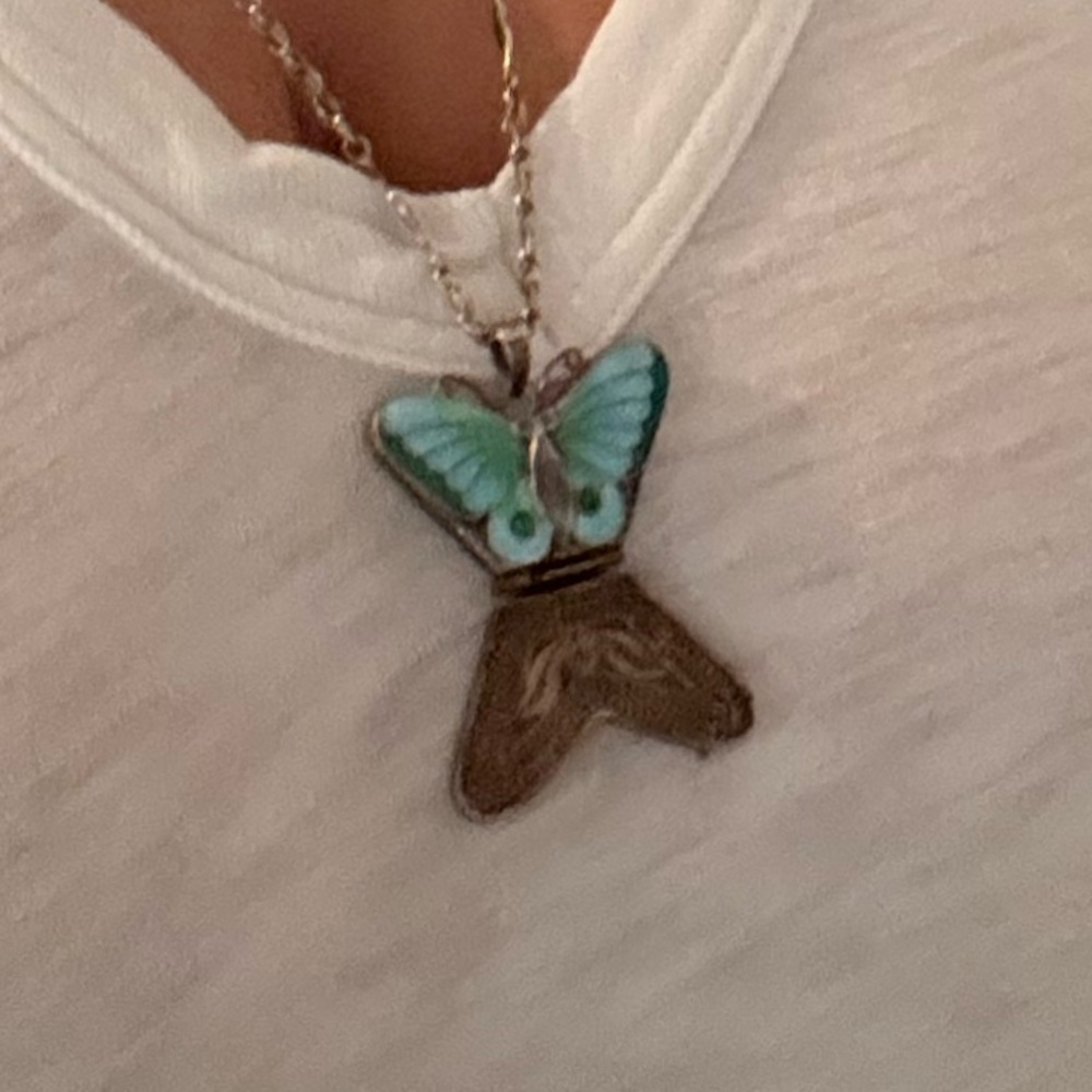 Vintage Chinese Cloisonné butterfly necklace, stamped silver (china) - Picture 10 of 10